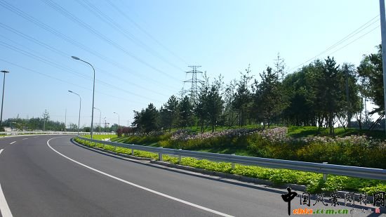 ������ς�(c��)