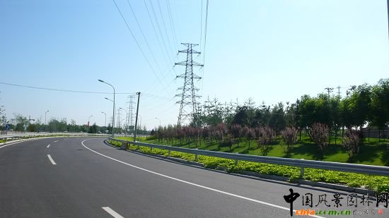 ��������Mվ�ς�