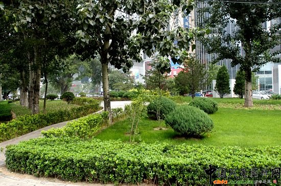 �y���|�ϽǾG��