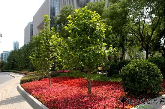 ��ʯ�;G��