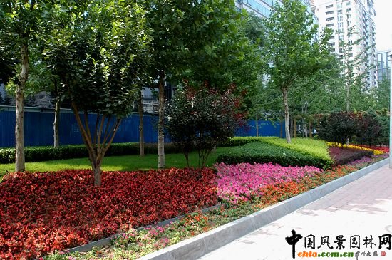 �A�մ�B�G��