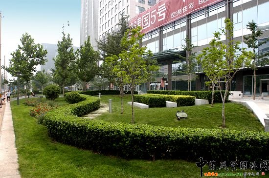 ���{��B�G��