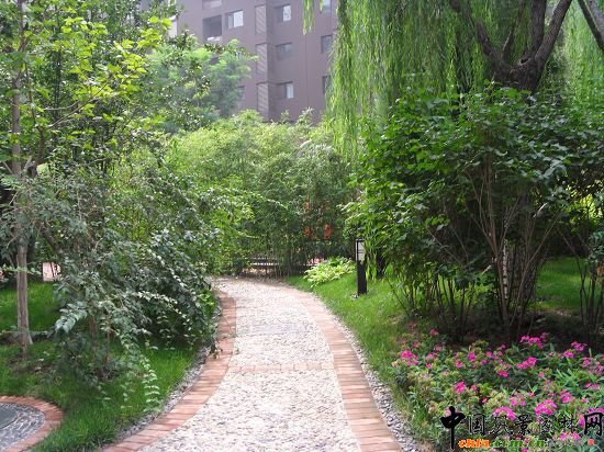 ��ͬ�߶ȵ�ֲ��Ʒ�N���������ͨ��Ч��