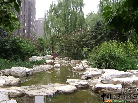 �@�^�е�ˮϵ�ͽ�ˮֲ������