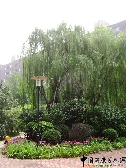 ��Ԫ�T���̎�Ć����ࡢ�ر�����