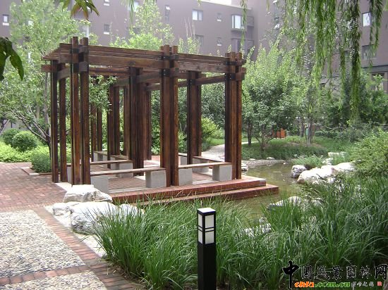 ��ˮֲ����ȼ�����ʯ�Ĵ���