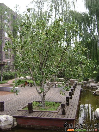 ���⺣���������ˮЧ��