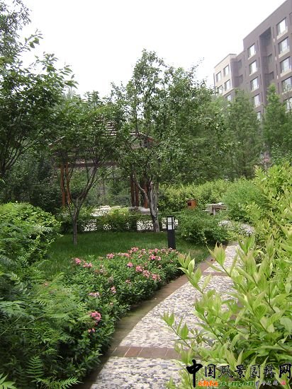 ������ӳЧ��