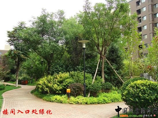 ���g���̎�G��