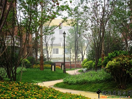 ��Ȼʽ�NֲȺ��