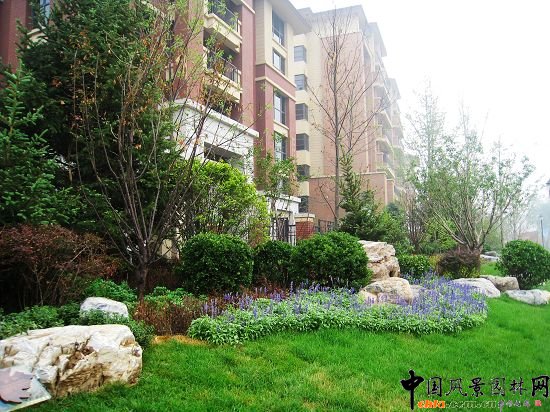 ��Ȼʽ�NֲȺ��