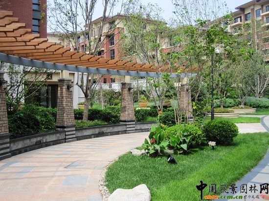 �����ȼ�