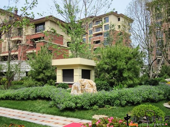   ɽʯֲ��Ⱥ�侰�^