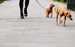 ���o��ȮҲҪ��ϧ�h(hu��n)�� 