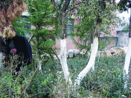 ʡ�D�����ˆT�Q�@��ʯ�����L��ԭ��Ȫ�ص��ςȡ�