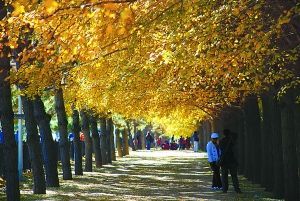 �׶��@�־G����Ҏ�wϵ���O�������A��(�M�D)