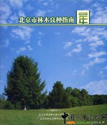 ������ľ���Nָ��