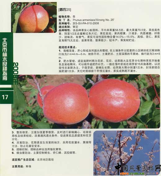 ��������ľ���N