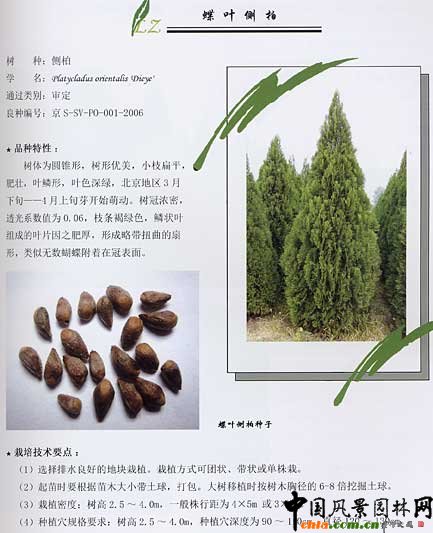 ��������ľ���N