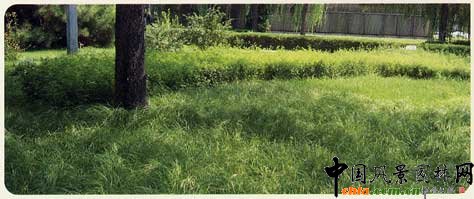 2008�걱������ľ���N--������G̦��