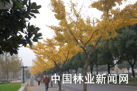 ��ǽ��^���~�侰�^����