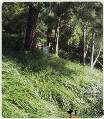 2008�걱������ľ���N���������ơ�����̦�ݺ���