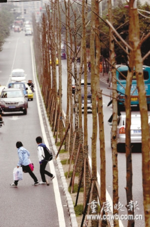 �ؑc�ϰ��^��·���g�N��1����������|��