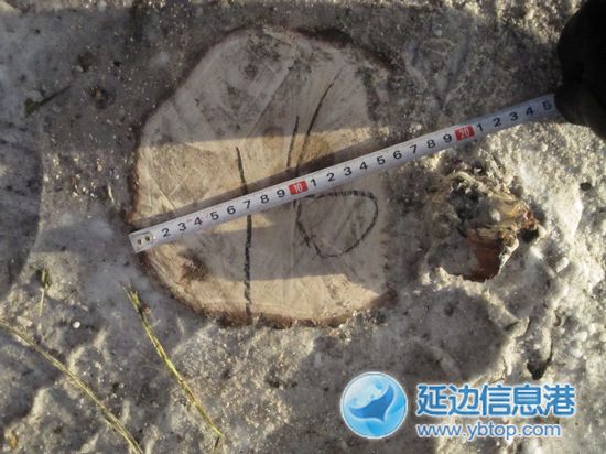 ���R��䏵����е���