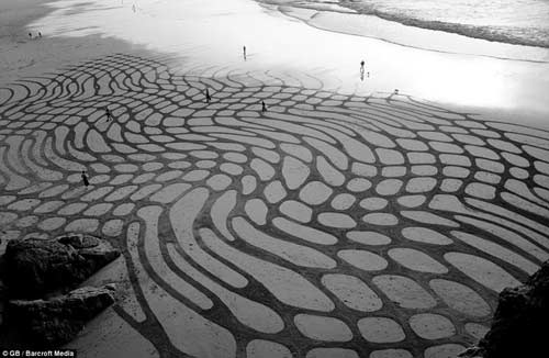 ����ˇ�g(sh��)���Ժ����鮋����(chu��ng)���ٷ���Ʒ(�M�D)