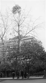 �ɶ�������ĸ�Ә䲻֪���ӵ����l���D��