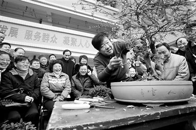 ��h���������M��^�̾����黨�ǲݡ�