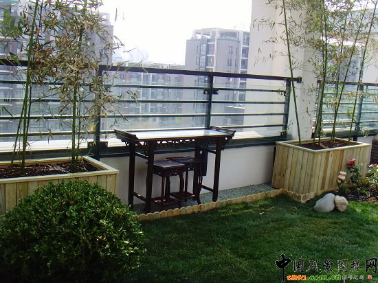 �W�\����픾G��--2009�걱���Ѓ��|����