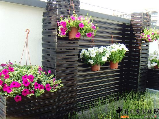 �W�\����픾G��--2009�걱���Ѓ��|����