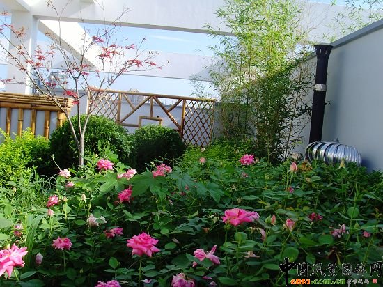 �W�\����픾G��--2009�걱���Ѓ��|����