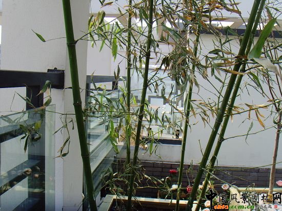 �W�\����픾G��--2009�걱���Ѓ��|����