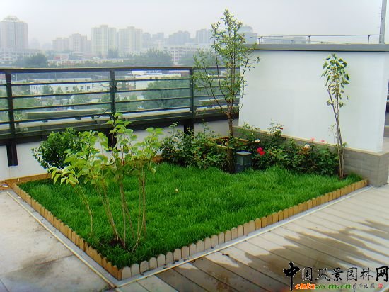 �W�\����픾G��--2009�걱���Ѓ�(y��u)�|����