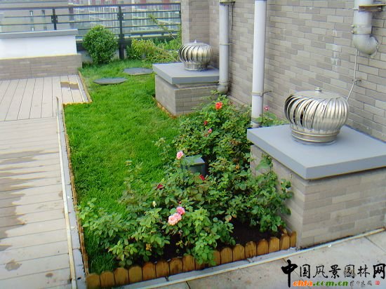 �W�\����픾G��--2009�걱���Ѓ�(y��u)�|����