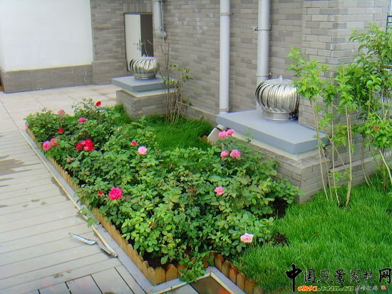 �W�\����픾G��--2009�걱���Ѓ��|����