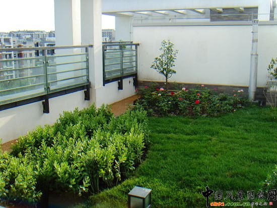 �W�\����픾G��--2009�걱���Ѓ��|����