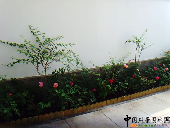 �W�\(y��n)����픾G��--2009�걱���Ѓ�(y��u)�|(zh��)����