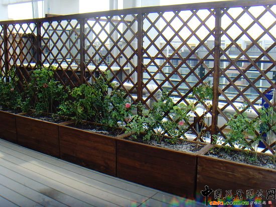 �W�\����픾G��--2009�걱���Ѓ��|����