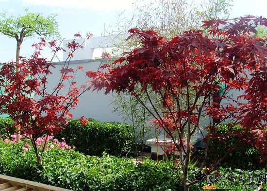 �W�\����픾G��--2009�걱���Ѓ��|����