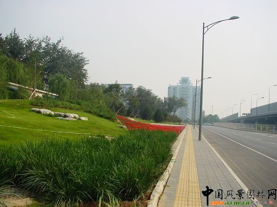 �G�ؽY�ϵ��Ρ���ʯ��ֲ����