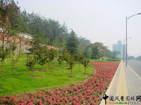 �h��ģ�y���޸����ܡ��c��߅�Ć̹�ľ�����˻������S���Ӵ�