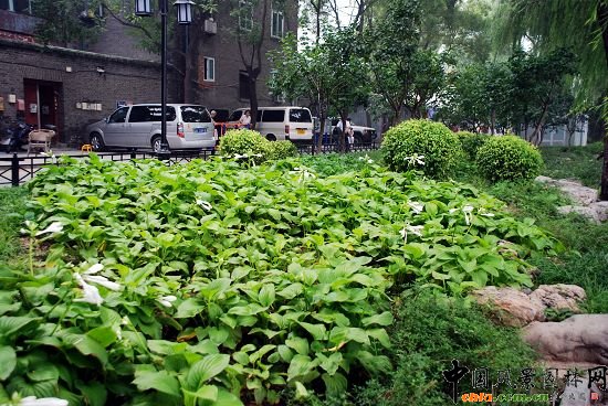 ʲ�x�����^