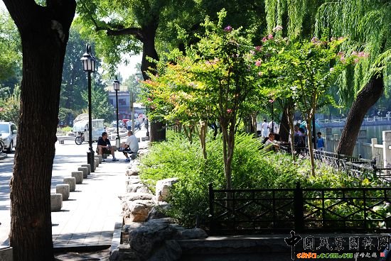 ʲ�x�����^