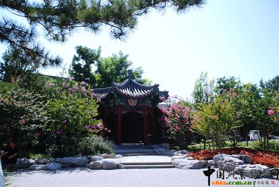 ʲ�x�����^