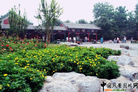 ʲ�x�����^