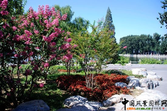 ʲ�x�����^