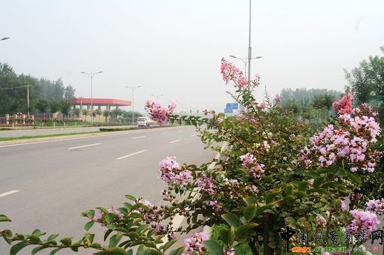 ��x�e�^��߅�G��